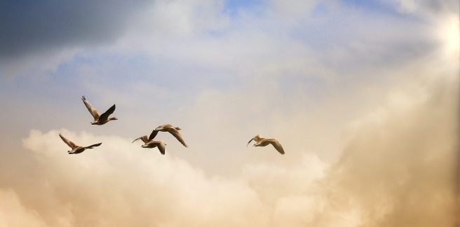 It’s Coming, Part&nbsp;2